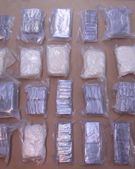 La police saisit 70 kilos de drogue à Magnormoen, quatre personnes inculpées - 28