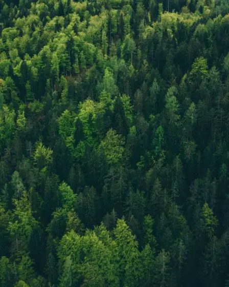 Un Allemand porté disparu au Finnmark - la police demande des pourboires 5 Un Allemand porté disparu au Finnmark - la police demande des pourboires - 4