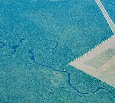 La Norvège poursuit le dialogue avec le Brésil au sujet du Fonds Amazon 26 La Norvège poursuit le dialogue avec le Brésil au sujet du Fonds Amazon - 25