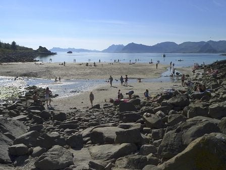La recherche suggère que le nettoyage des plages aide 26 La recherche suggère que le nettoyage des plages aide - 25