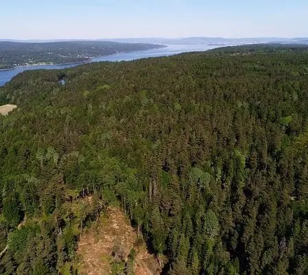 Le très beau temps apporte un danger de feu de forêt - 28