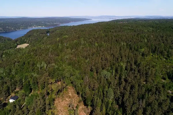 Le très beau temps apporte un danger de feu de forêt 4 Le très beau temps apporte un danger de feu de forêt - 3