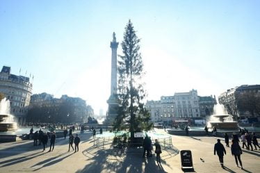 Les Britanniques sont mécontents du sapin de Noël norvégien - 22