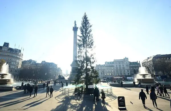 Les Britanniques sont mécontents du sapin de Noël norvégien - 3