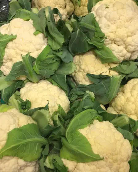 Les légumes norvégiens deviennent moins chers - Norway Today - 13