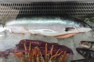 Croissance record de 26 % pour les exportations norvégiennes de fruits de mer - 23