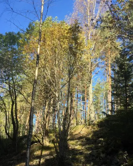 La moitié de toutes les propriétés mises en vente au cours des 20 dernières années 25 La moitié de toutes les propriétés mises en vente au cours des 20 dernières années - 24