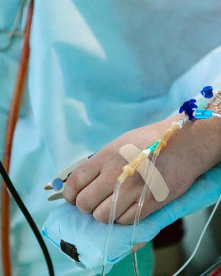 De plus en plus de Norvégiens rejettent le don d'organes : "C'est inquiétant" - 25