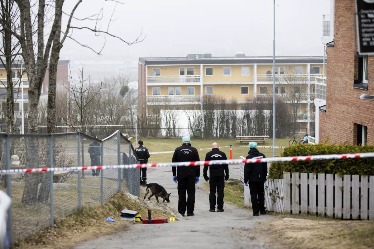 Un homme dans la trentaine arrêté en Croatie et accusé d'un meurtre qui a eu lieu à Oslo en 2015 - 3