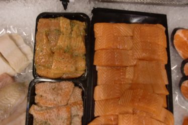 Des prix toujours élevés pour le saumon et la truite de Norvège en août 2016 - 16
