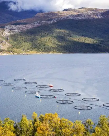 Le ministre norvégien de la Pêche veut quintupler la production de saumon d'ici 2050 22 Le ministre norvégien de la Pêche veut quintupler la production de saumon d'ici 2050 - 21