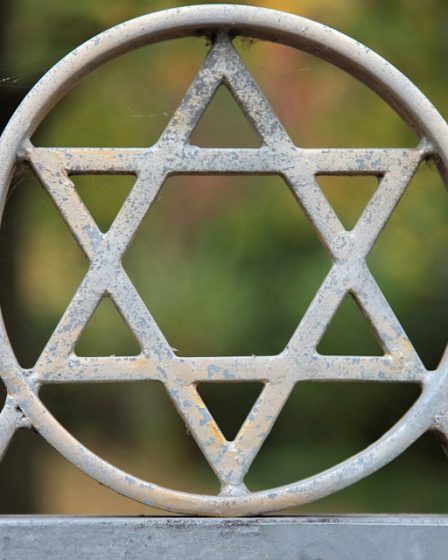 Les dirigeants juifs demandent l'interdiction des organisations racistes - 25