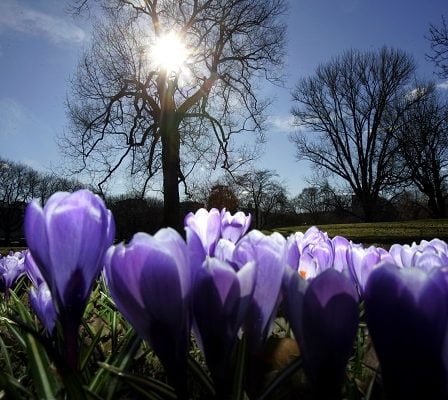 Températures estivales en route vers le sud de la Norvège 23 Températures estivales en route vers le sud de la Norvège - 22