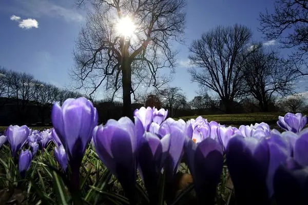 Températures estivales en route vers le sud de la Norvège 4 Températures estivales en route vers le sud de la Norvège - 3