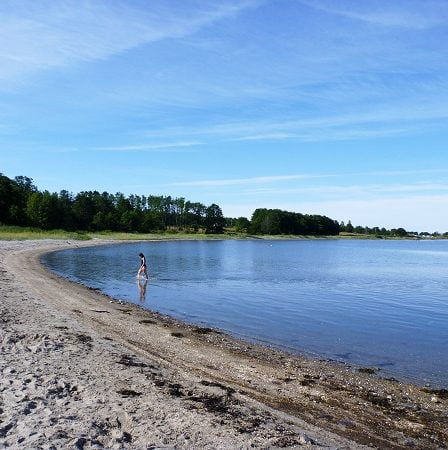 Les scientifiques craignent que les plages de Norvège ne disparaissent 17 Les scientifiques craignent que les plages de Norvège ne disparaissent - 16