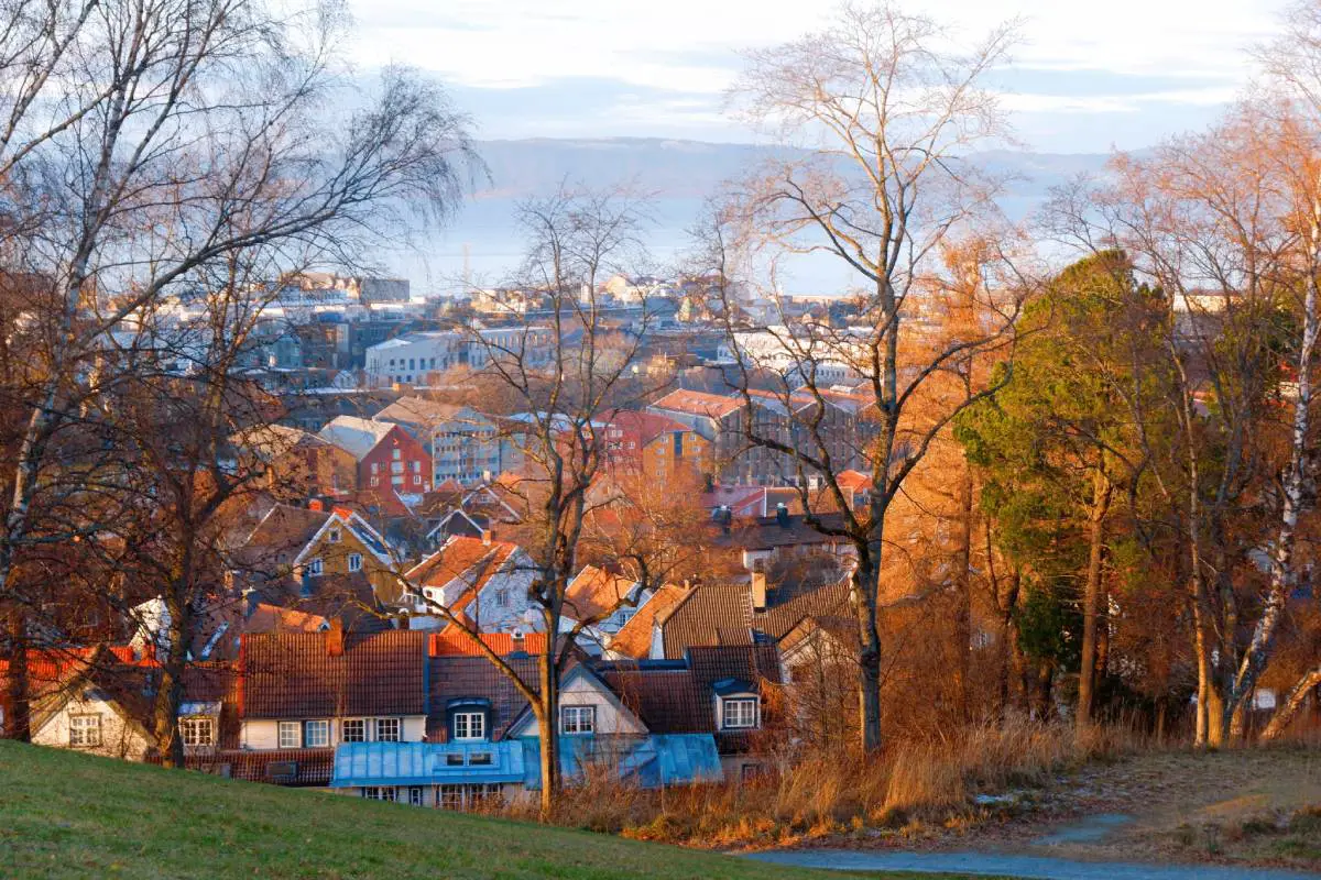 Onze nouveaux cas corona enregistrés à Trondheim 4 Onze nouveaux cas corona enregistrés à Trondheim - 3