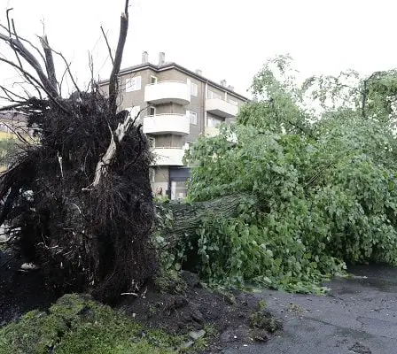 Violentes tempêtes dans la région d'Oslo - plusieurs arbres renversés 17 Violentes tempêtes dans la région d'Oslo - plusieurs arbres renversés - 16