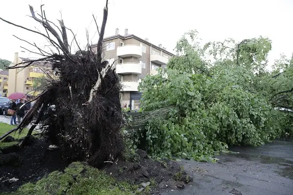 Violentes tempêtes dans la région d'Oslo - plusieurs arbres renversés 6 Violentes tempêtes dans la région d'Oslo - plusieurs arbres renversés - 5