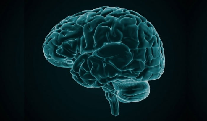 Violences mortelles contre un bébé 4 Violences mortelles contre un bébé - 3