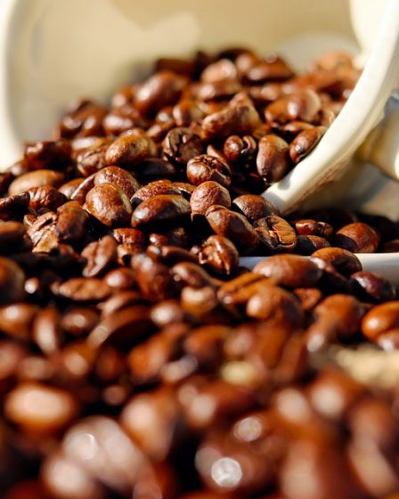 En espérant que 1 000 signatures et rassemblement puissent sauver Wayne's Coffee 11 En espérant que 1 000 signatures et rassemblement puissent sauver Wayne's Coffee - 10