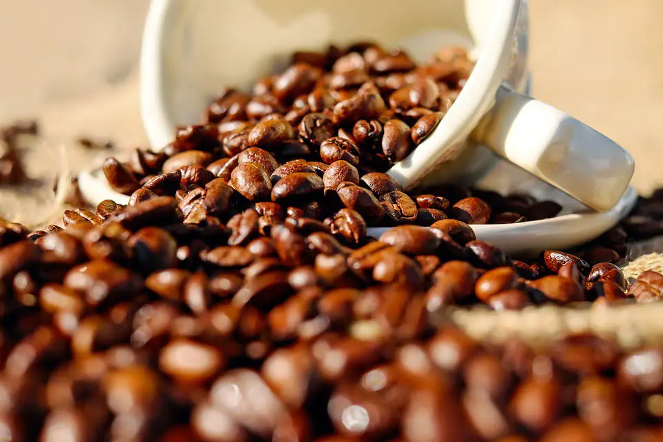 En espérant que 1 000 signatures et rassemblement puissent sauver Wayne's Coffee 4 En espérant que 1 000 signatures et rassemblement puissent sauver Wayne's Coffee - 3