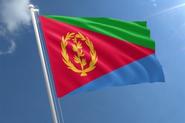 L'Érythrée contrôle une organisation d'immigrants norvégiens - 16
