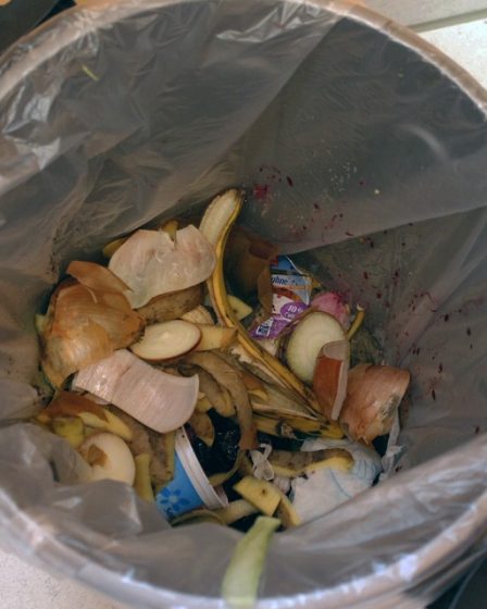 Nous jetons tous les huit sacs de nourriture 2 Nous jetons tous les huit sacs de nourriture - 1