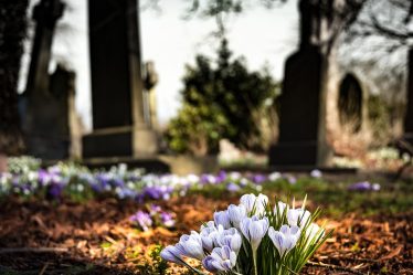 Inculpé pour vandalisme au cimetière de Sandnes - 16