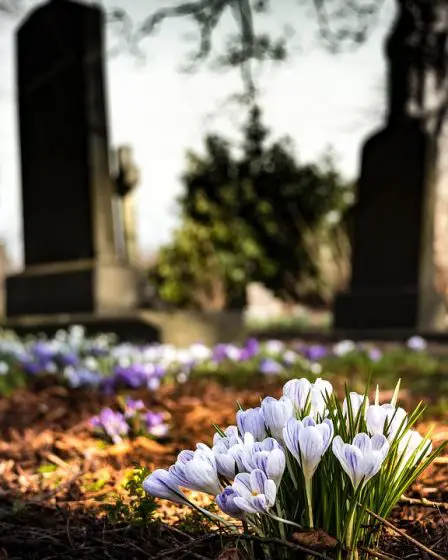 Inculpé pour vandalisme au cimetière de Sandnes 14 Inculpé pour vandalisme au cimetière de Sandnes - 13