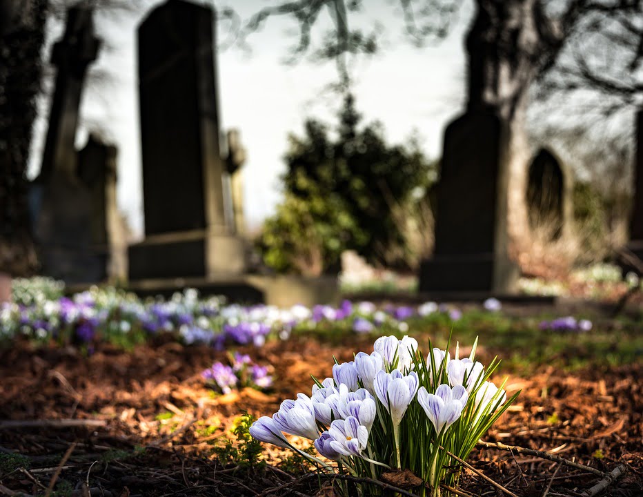 Inculpé pour vandalisme au cimetière de Sandnes 4 Inculpé pour vandalisme au cimetière de Sandnes - 3