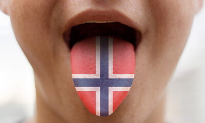 Apprendre le norvégien, tout ce que vous devez savoir. - 11