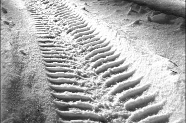 Il est temps de mettre des pneus d'hiver - avertissement de neige dans le sud - 16