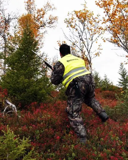 Les propriétaires forestiers tireront sur les loups pour augmenter la population d'orignaux 17 Les propriétaires forestiers tireront sur les loups pour augmenter la population d'orignaux - 16