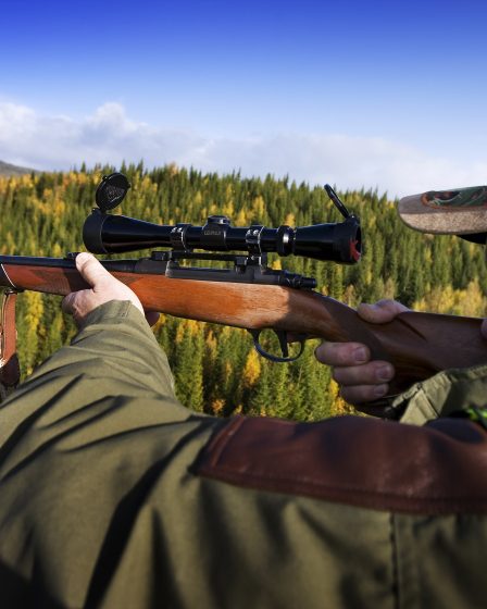 Nouvelles règles : 200 tonnes de viande de gibier doivent être jetées 17 Nouvelles règles : 200 tonnes de viande de gibier doivent être jetées - 16