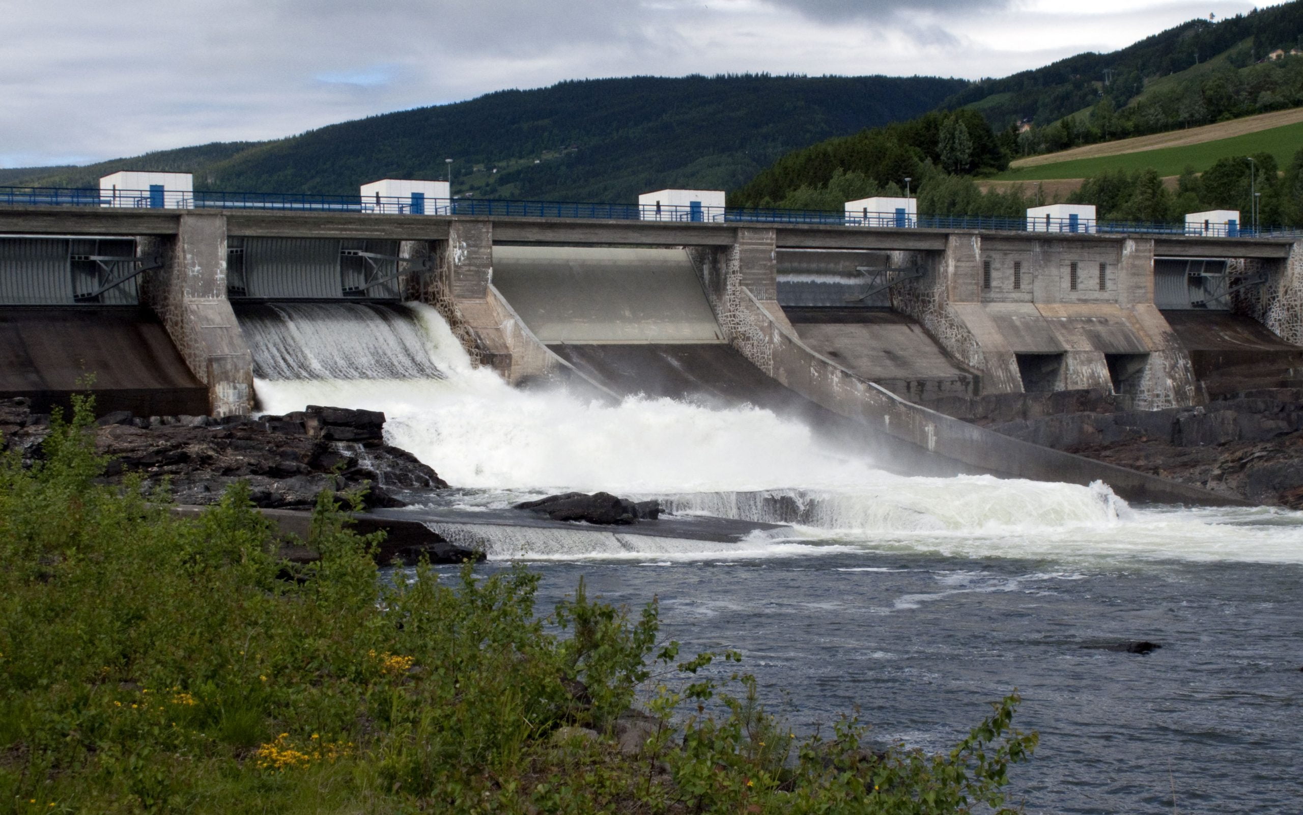 Une société énergétique norvégienne investit huit milliards en Géorgie 4 Une société énergétique norvégienne investit huit milliards en Géorgie - 3