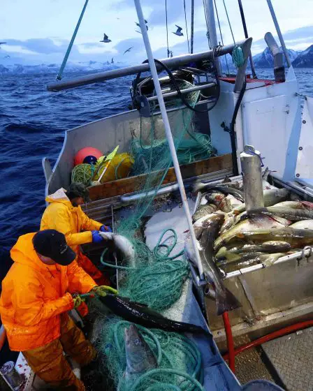 Réduction du nombre de décès pour les navires norvégiens l'année dernière 23 Réduction du nombre de décès pour les navires norvégiens l'année dernière - 22