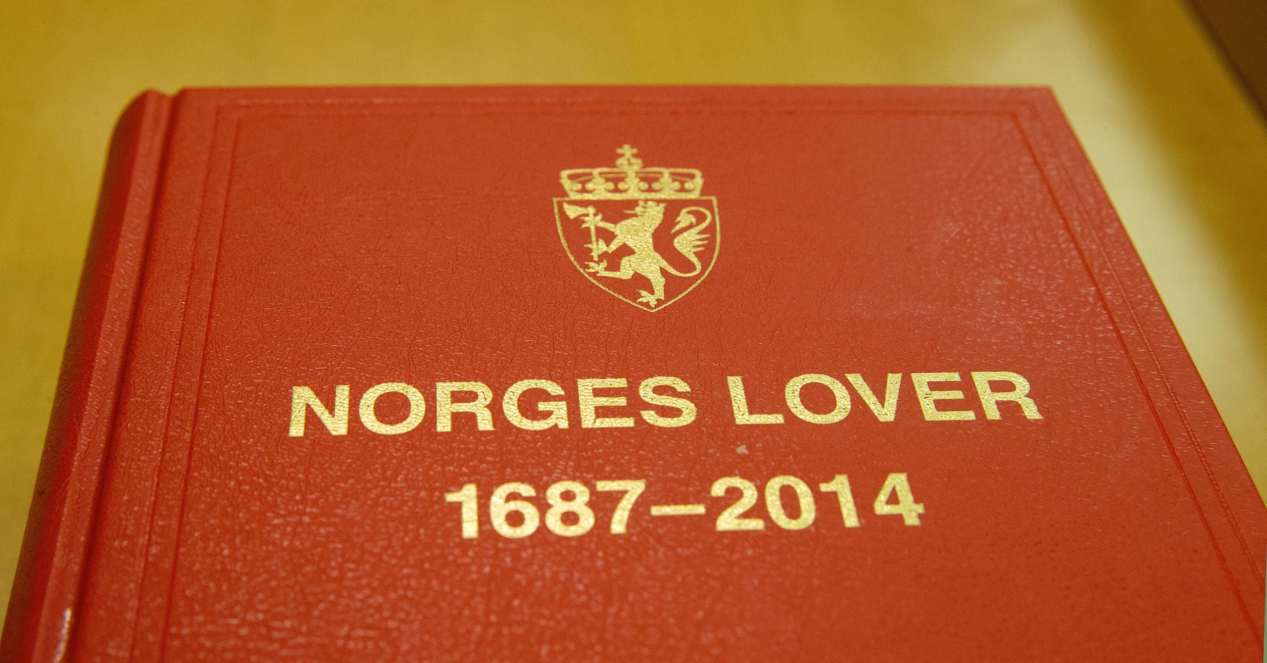 Trysil Man aurait enregistré des factures fictives totalisant des millions 4 Trysil Man aurait enregistré des factures fictives totalisant des millions - 3