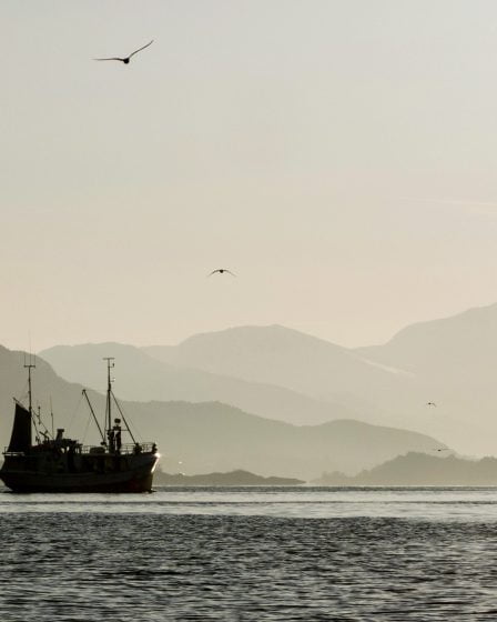 Pêcheurs et océanographes se réjouissent des importantes prises de thon rouge 26 Pêcheurs et océanographes se réjouissent des importantes prises de thon rouge - 25