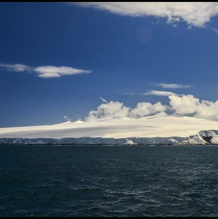 Le milliardaire polonais voulait créer une entreprise sur l'île Bouvet 17 Le milliardaire polonais voulait créer une entreprise sur l'île Bouvet - 16