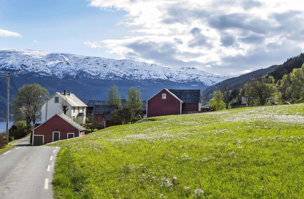 Boom de la construction chez les agriculteurs - Norway Today 4 Boom de la construction chez les agriculteurs - Norway Today - 3