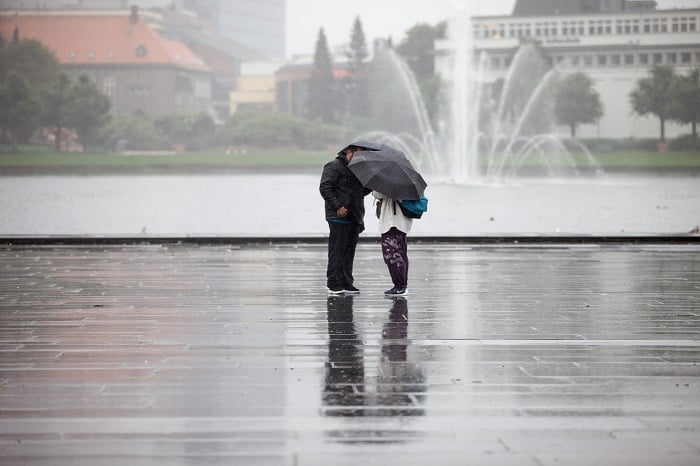 Janvier 2020 est devenu le mois de janvier le plus humide de tous les temps 4 Janvier 2020 est devenu le mois de janvier le plus humide de tous les temps - 3