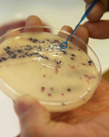 La recherche norvégienne sur les germes reçoit près de 22 millions de l'Union européenne (UE) 5 La recherche norvégienne sur les germes reçoit près de 22 millions de l'Union européenne (UE) - 4