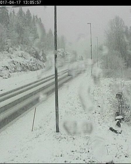 La Norvège centrale obtient le meilleur temps ce week-end 20 La Norvège centrale obtient le meilleur temps ce week-end - 19