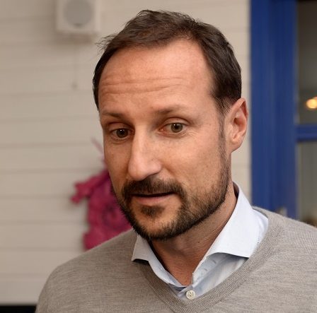 Prince héritier Haakon : Le roi est en convalescence 2 Prince héritier Haakon : Le roi est en convalescence - 1