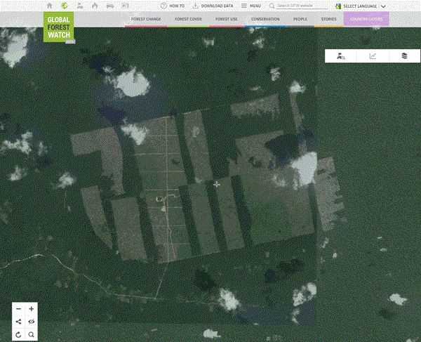 La Norvège fournira des images satellites très détaillées des forêts tropicales du monde 4 La Norvège fournira des images satellites très détaillées des forêts tropicales du monde - 3