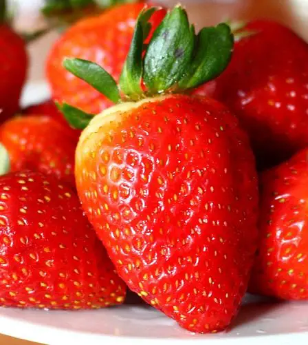 Bonne récolte de baies de jardin en 2015 5 Bonne récolte de baies de jardin en 2015 - 4