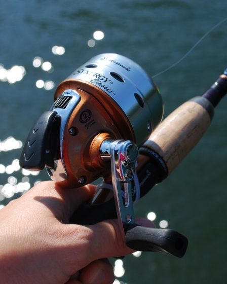 Les habitants s'inquiètent alors que les touristes attrapent une tonne de poisson par jour 11 Les habitants s'inquiètent alors que les touristes attrapent une tonne de poisson par jour - 10