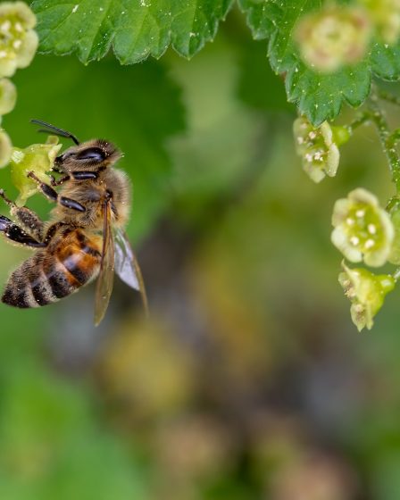 Craint un effondrement des écosystèmes naturels 23 Craint un effondrement des écosystèmes naturels - 22