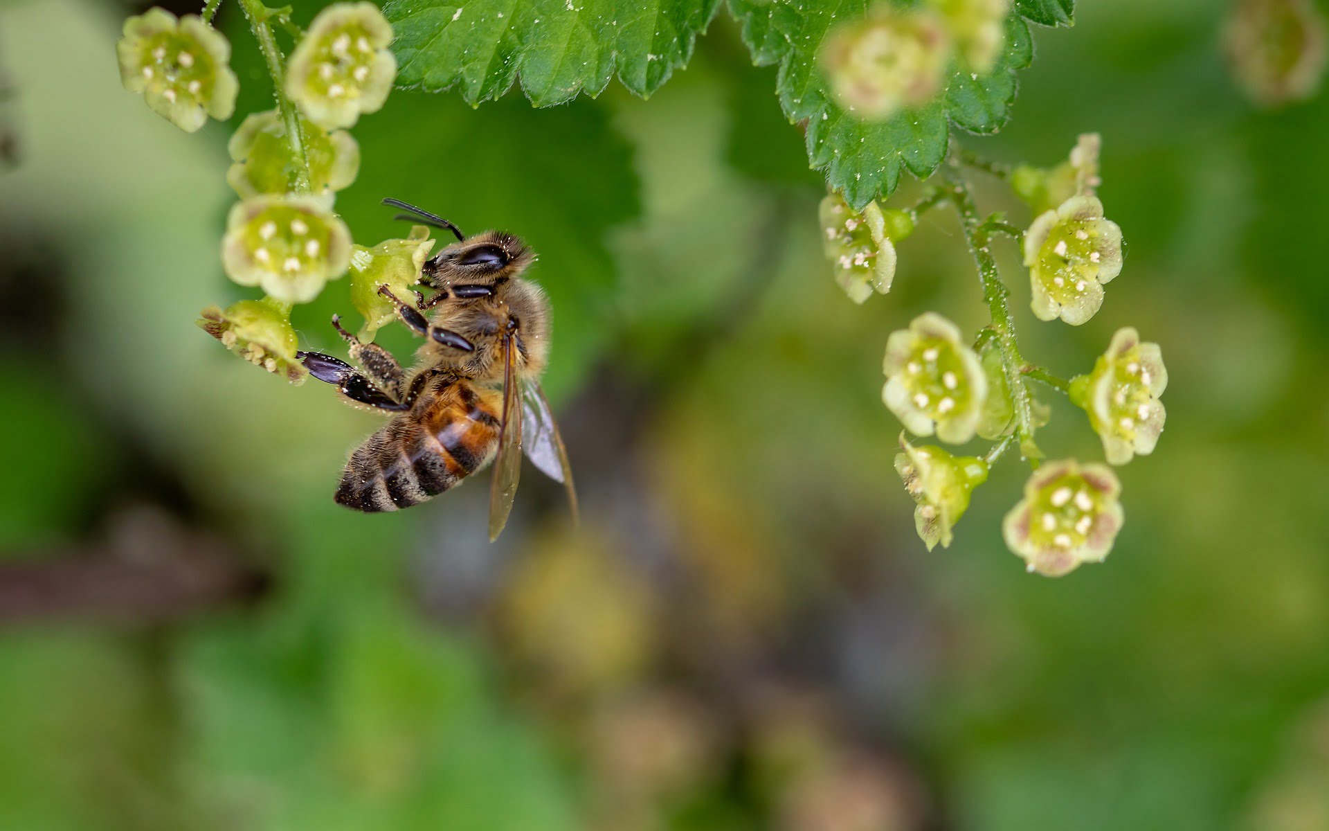 Craint un effondrement des écosystèmes naturels 4 Craint un effondrement des écosystèmes naturels - 3