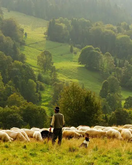 Moins d'agriculteurs que jamais en Norvège 2 Moins d'agriculteurs que jamais en Norvège - 1